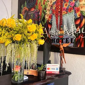  Hotel Alma Maya Guatemala